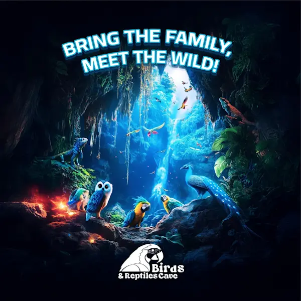 Birds & Reptiles Cave